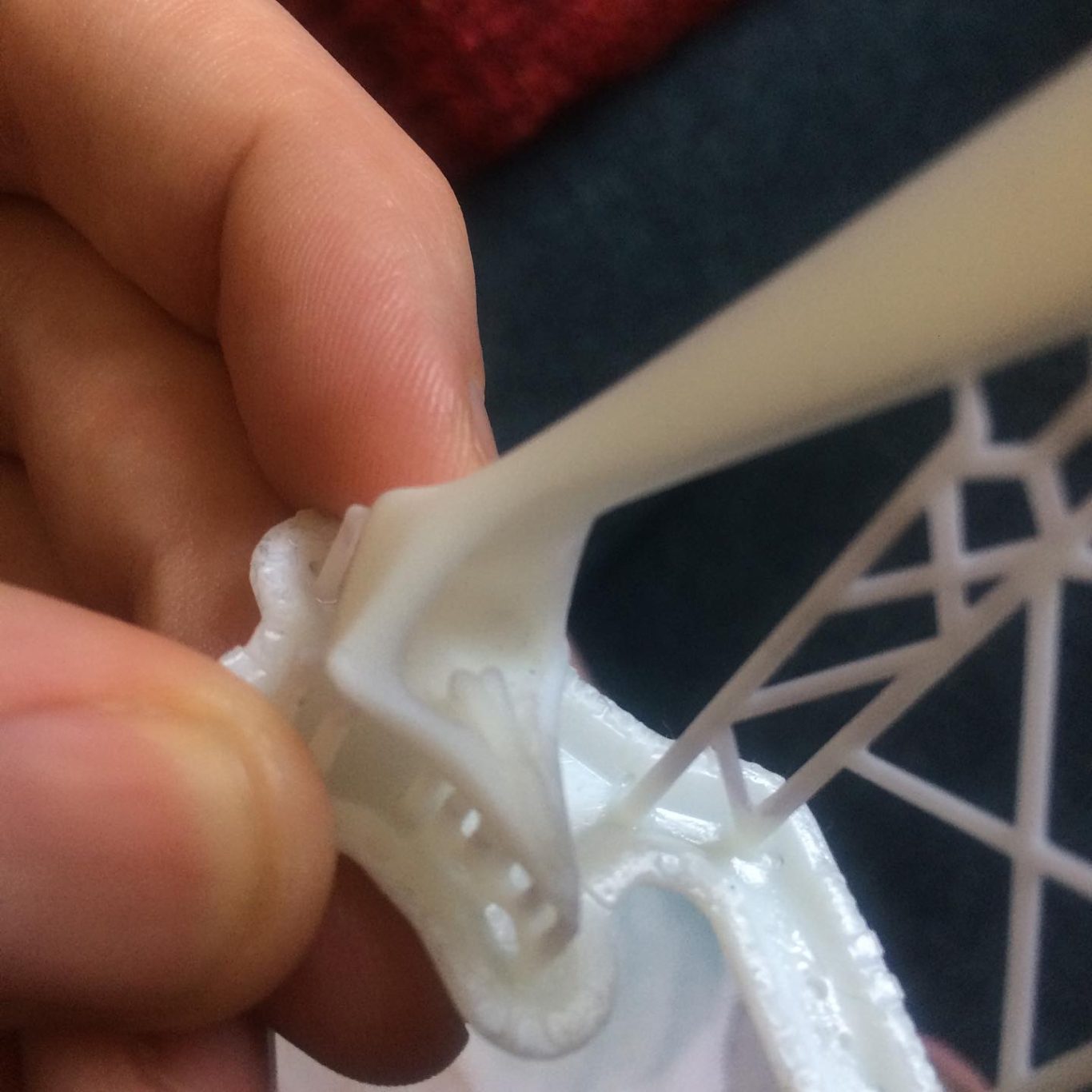 Detail of 3D Printed Beak