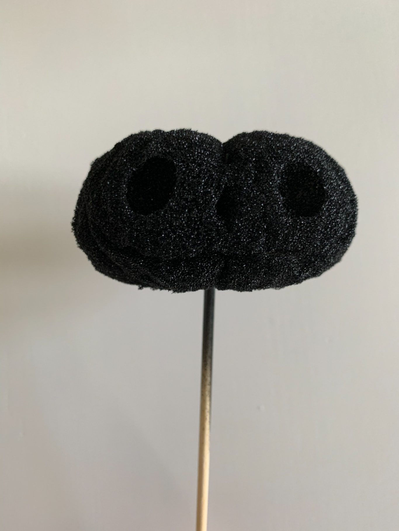 Test Animation Head