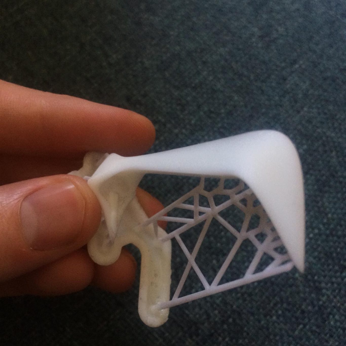 3D Printed Beak