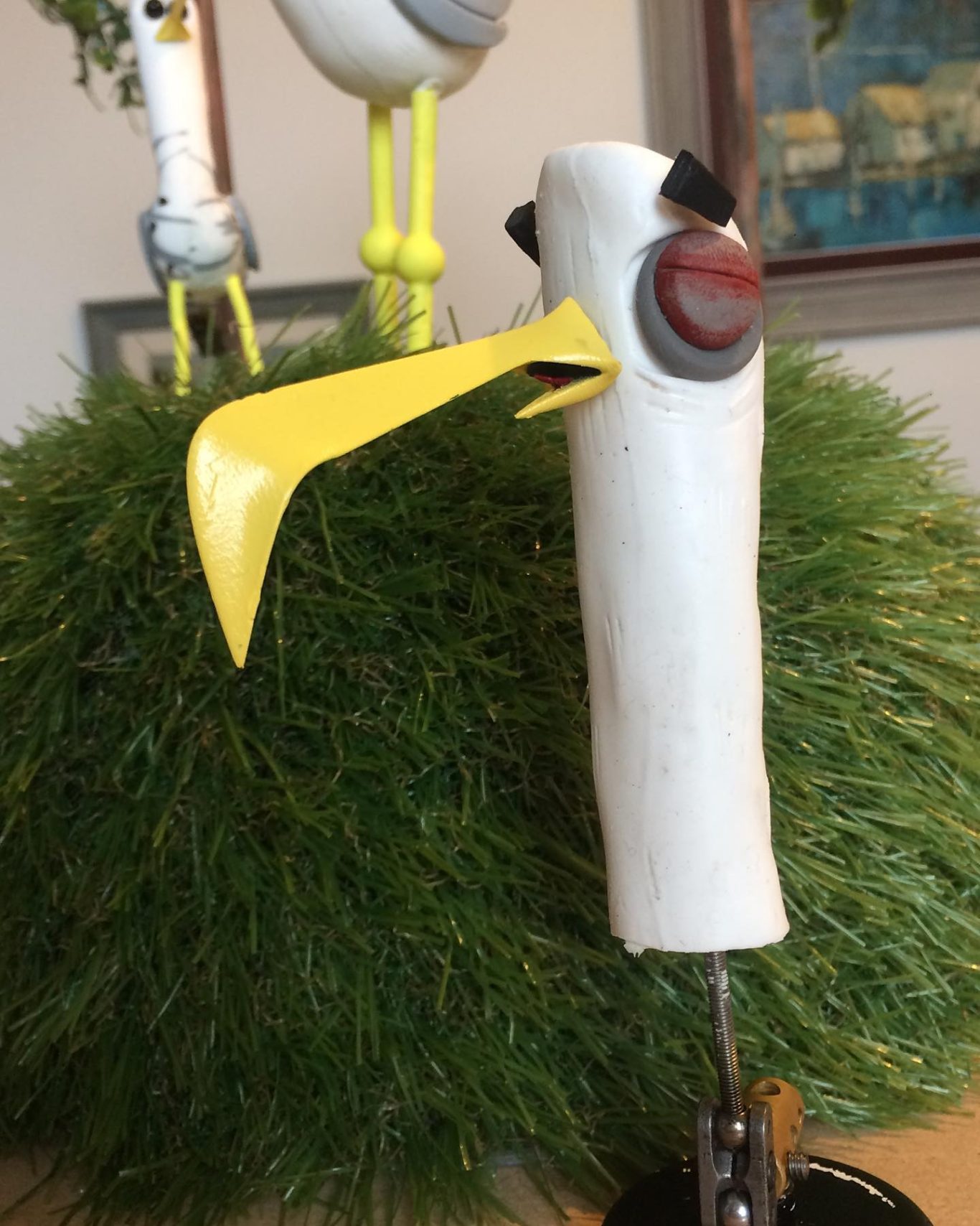 Spare Adult Seagull Close Up Head